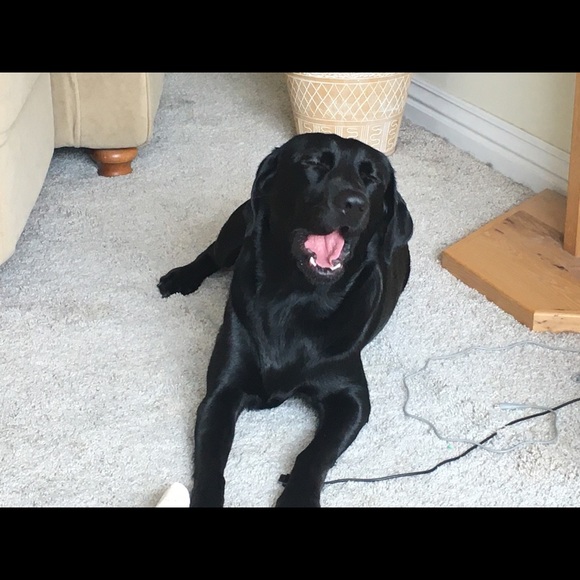 I am Lori Jean Poshmark Ambassador- No drama zone! - Picture 6 of 17